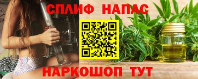 гидропоника Можга