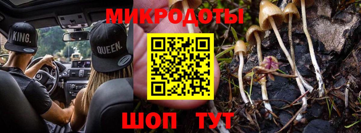Псилоцибиновые грибы ЛСД  Псилоцибиновые грибы прущие грибы  Узловая  Вход с VPN 